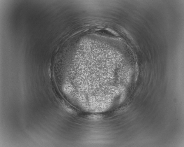 X0000070180313200606091513