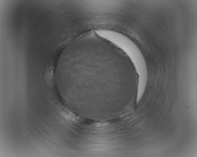 X0000070180314200606091513