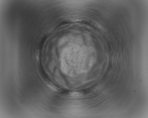 X0000070180315200606091513