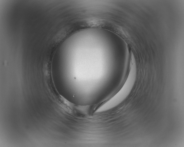 X0000070180317200606091513