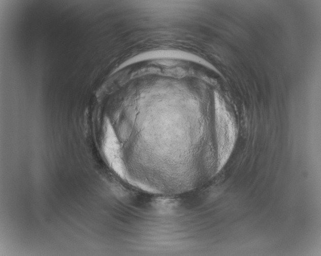 X0000070180319200606091513