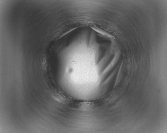 X0000070180320200606091513