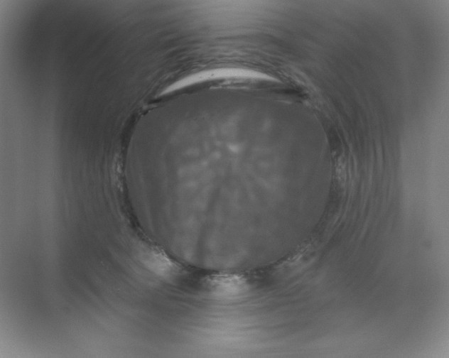 X0000070180322200606091513