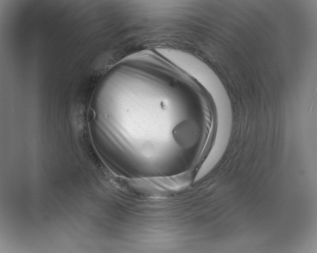 X0000070180323200606091513