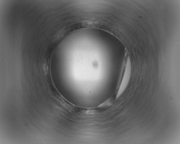 X0000070180324200606091513