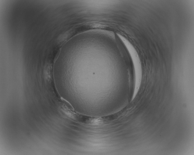 X0000070180325200606091513