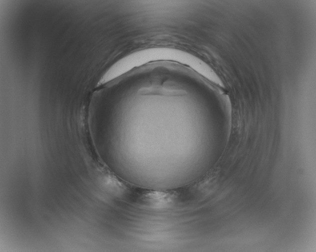 X0000070180326200606091513