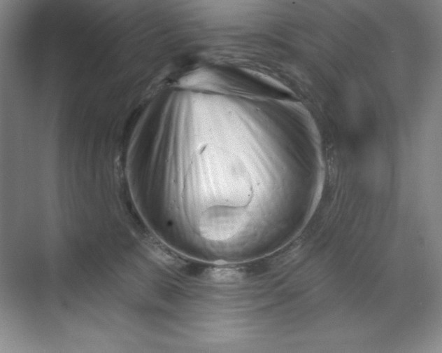 X0000070180327200606091513