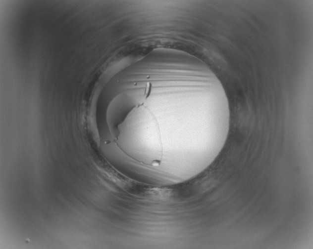 X0000070180328200606091513