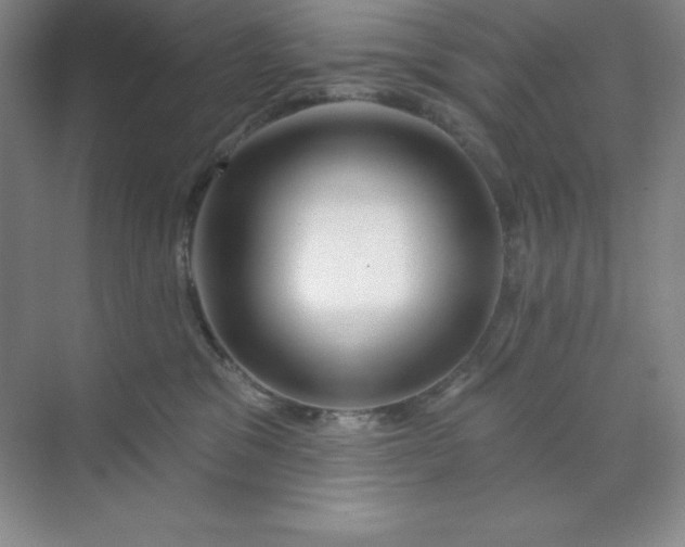 X0000070180329200606091513