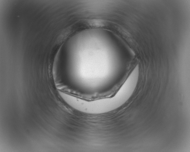 X0000070180330200606091513