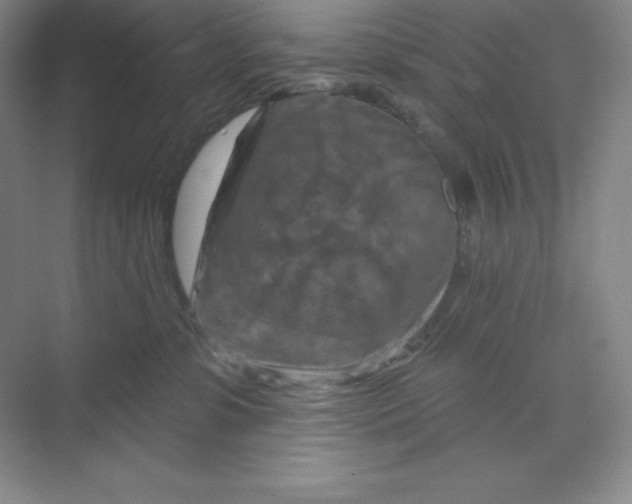 X0000070180331200606091513