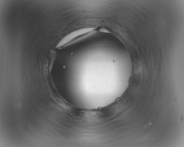 X0000070180332200606091513