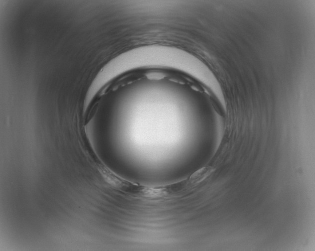 X0000070180333200606091513