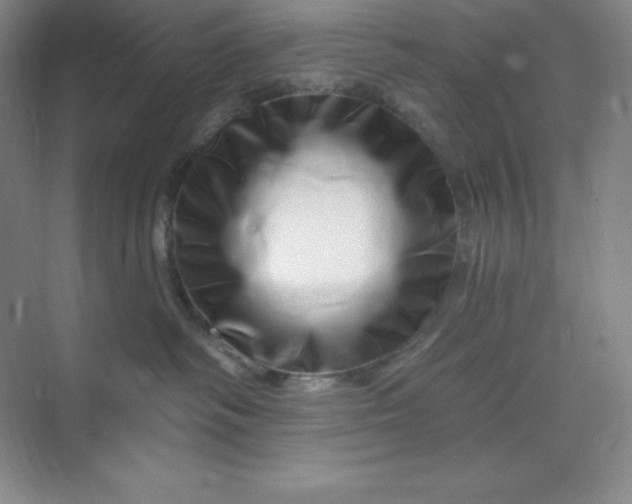 X0000070180334200606091513