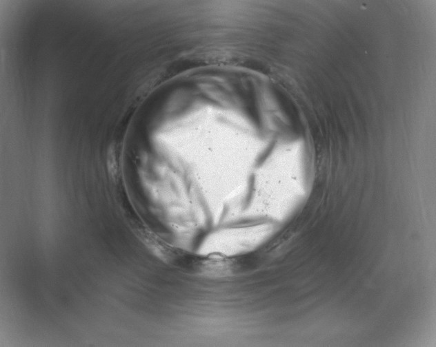 X0000070180335200606091513