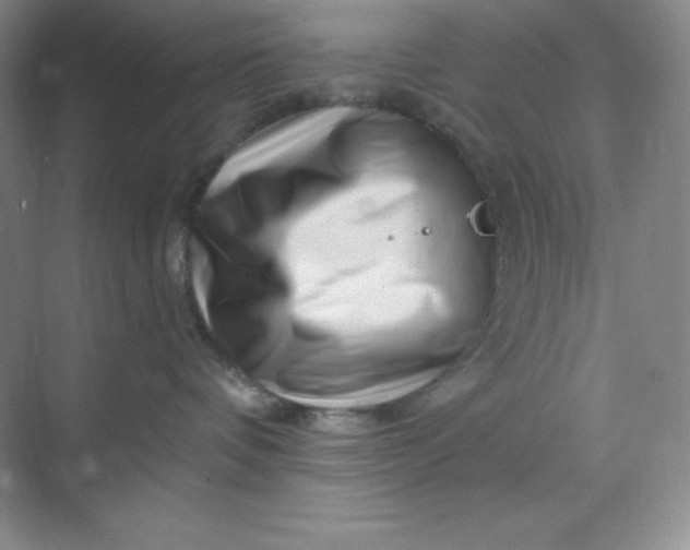 X0000070180336200606091513