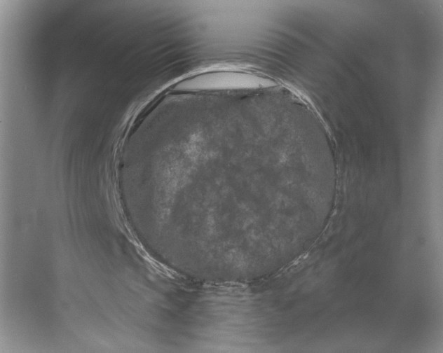 X0000070180337200606091512