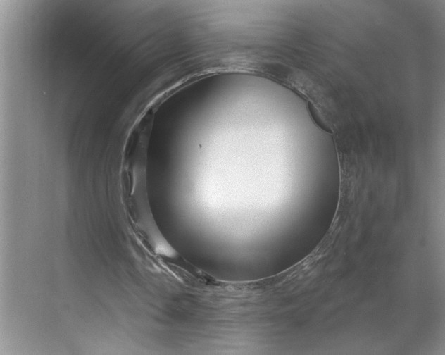 X0000070180338200606091512