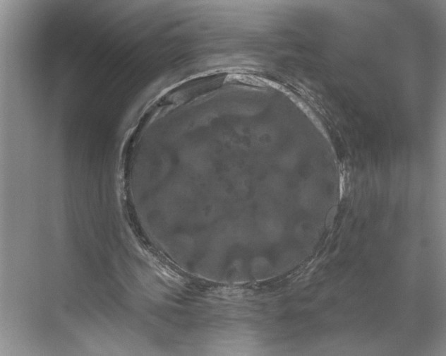 X0000070180339200606091512