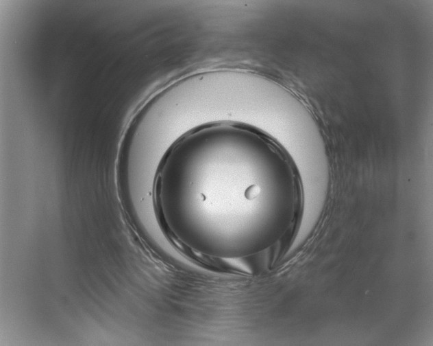 X0000070180340200606091512