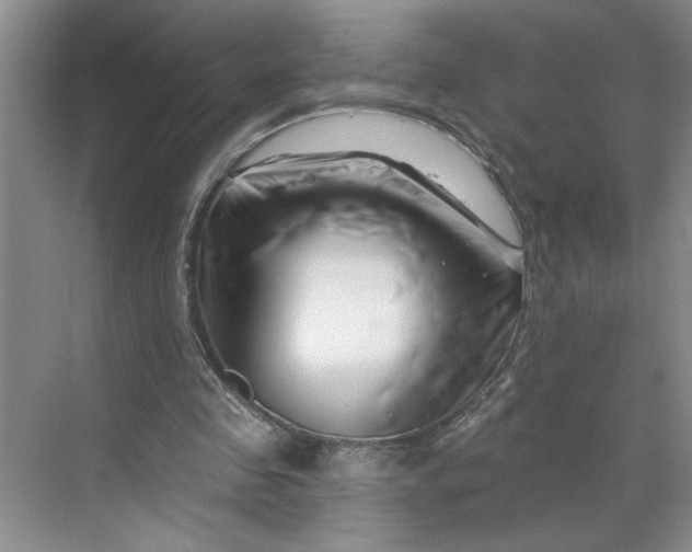 X0000070180341200606091512