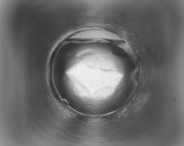 X0000070180342200606091512