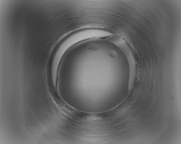 X0000070180348200606091512