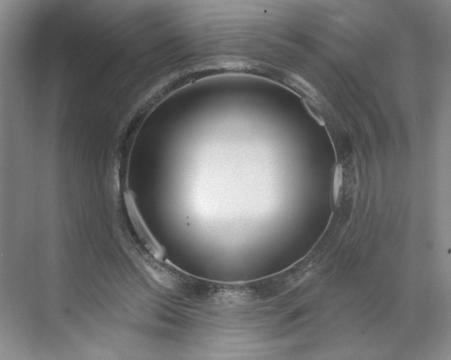 X0000070180350200606091512