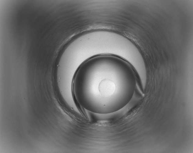 X0000070180352200606091512