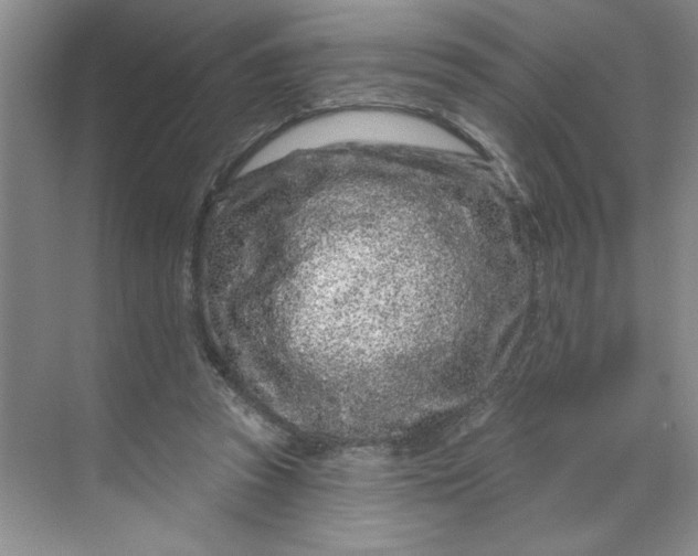 X0000070180353200606091512