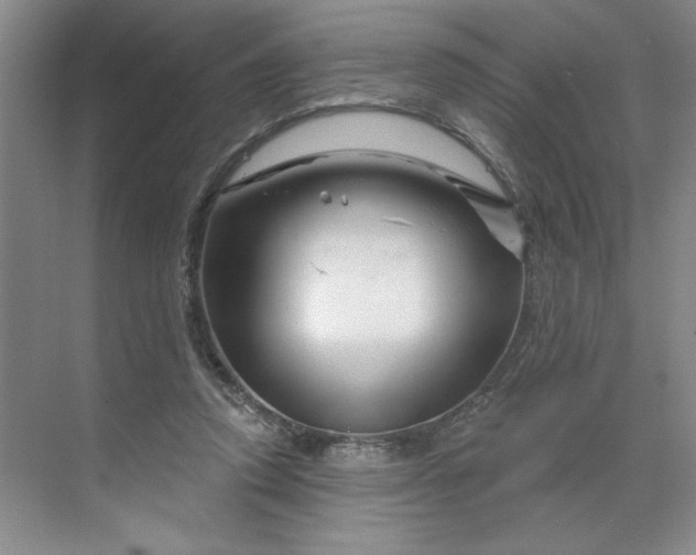 X0000070180354200606091512