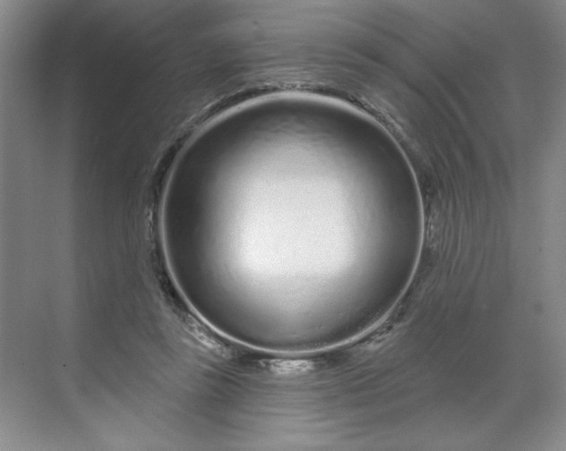 X0000070180355200606091512