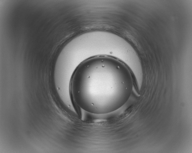 X0000070180356200606091512