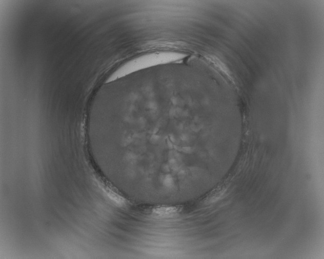 X0000070180357200606091512