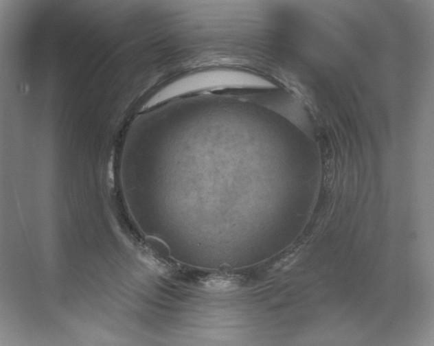 X0000070180358200606091512