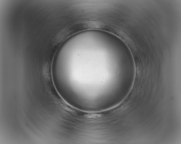 X0000070180359200606091512