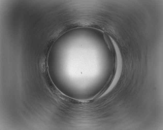 X0000070180360200606091512