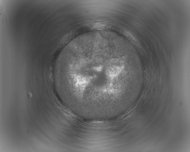 X0000070180361200606091512