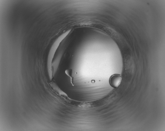 X0000070180362200606091512