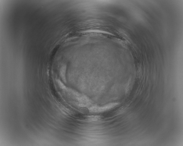 X0000070180363200606091512