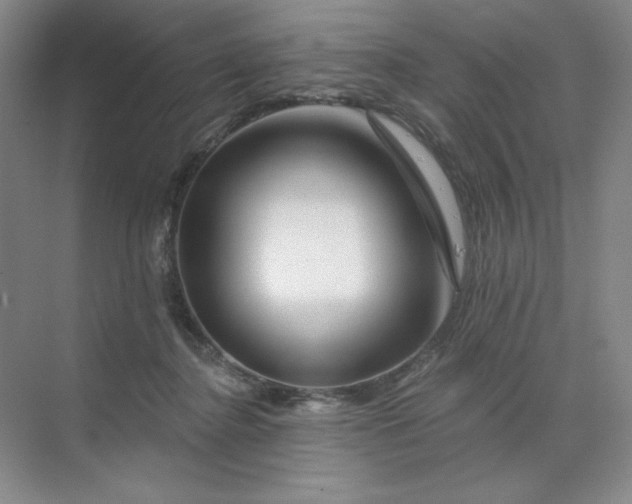 X0000070180364200606091513