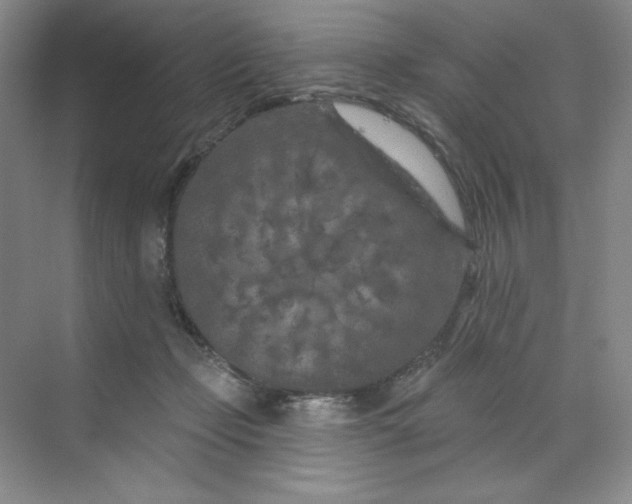 X0000070180365200606091513