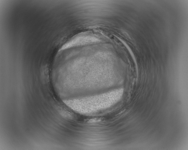 X0000070180366200606091513