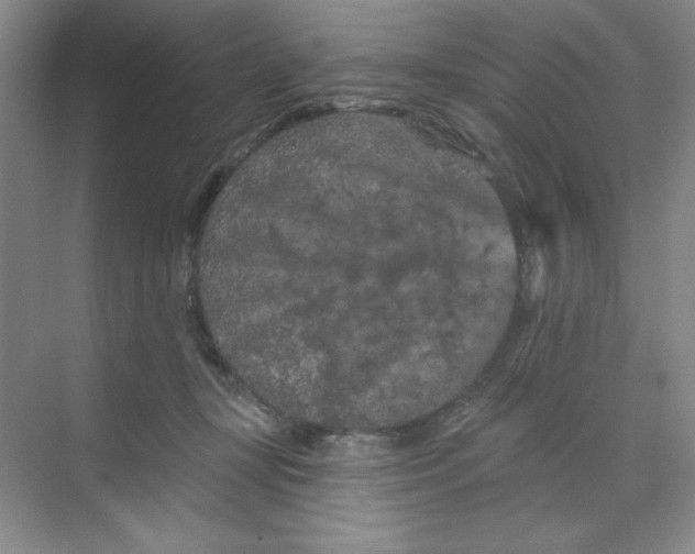 X0000070180367200606091513