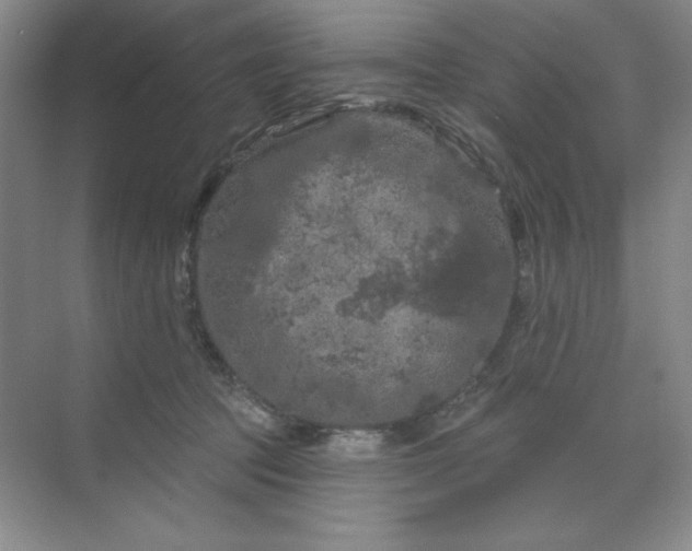 X0000070180369200606091513