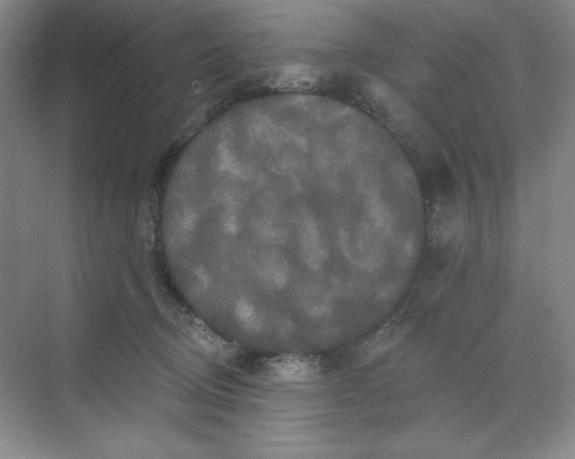 X0000070180370200606091513