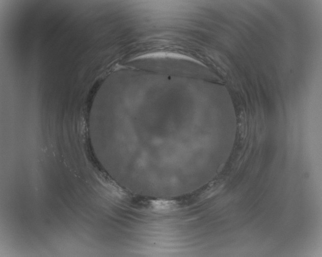 X0000070180371200606091513