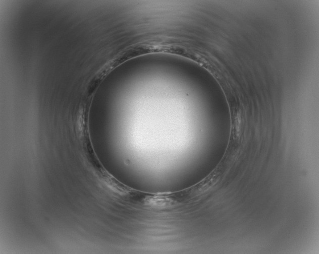 X0000070180372200606091513