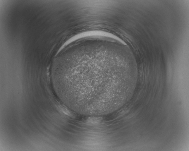 X0000070180373200606091513